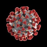 Coronavirus Update