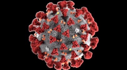 Coronavirus Update